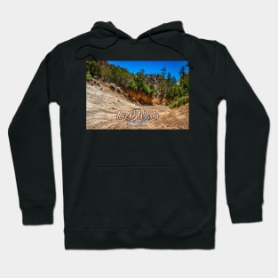 Lick Wash Trail Hike Hoodie